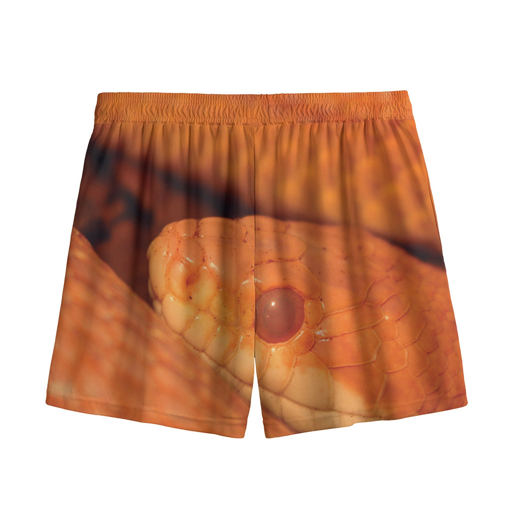 Orange Snake Print Mesh Shorts