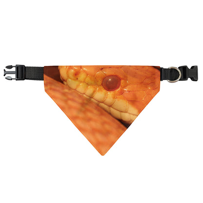 Orange Snake Print Over The Collar Dog Bandana