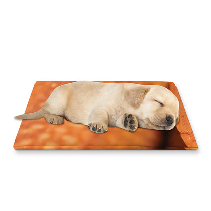 Orange Snake Print Pet Cooling Mat Cover