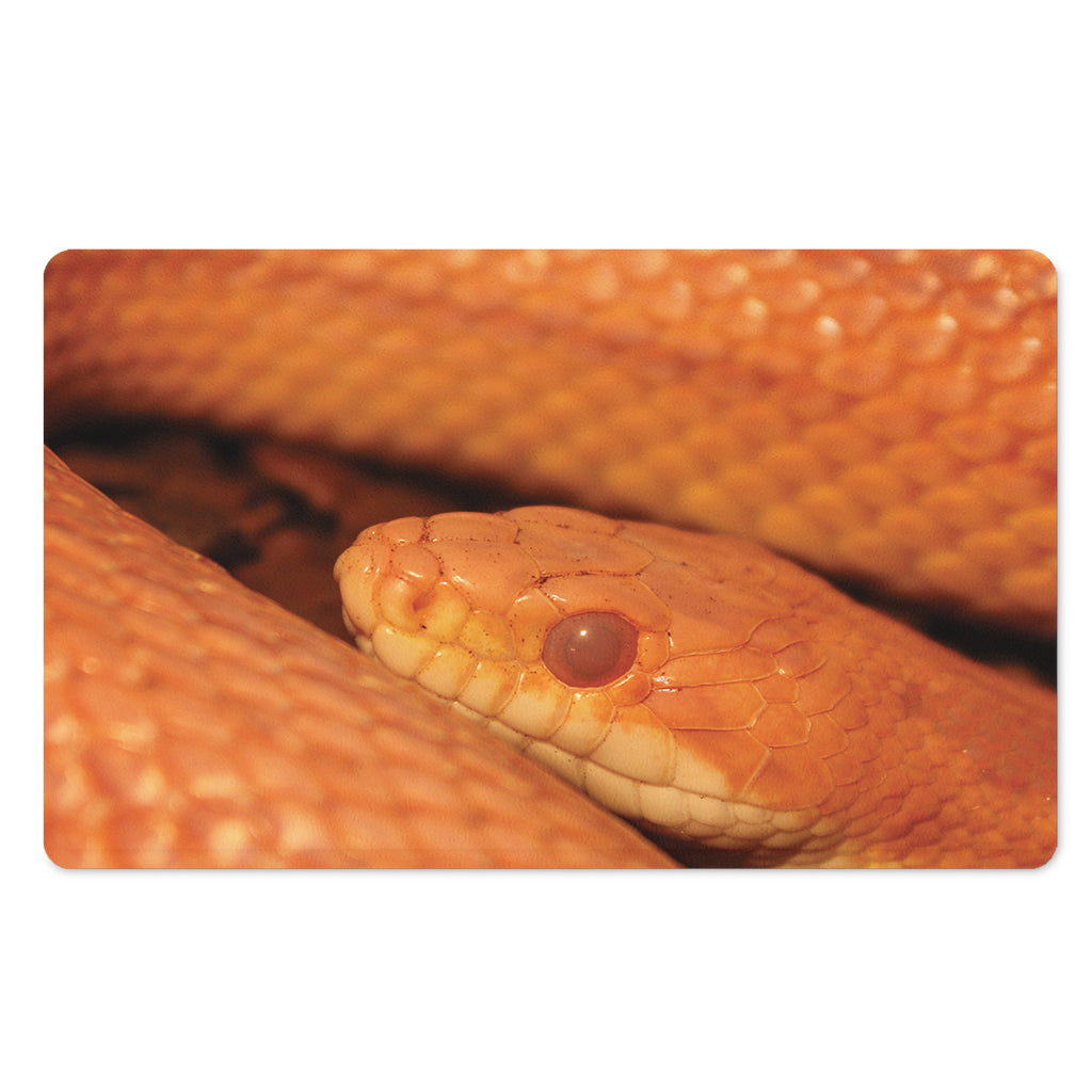Orange Snake Print Polyester Doormat