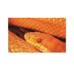 Orange Snake Print Polyester Flag