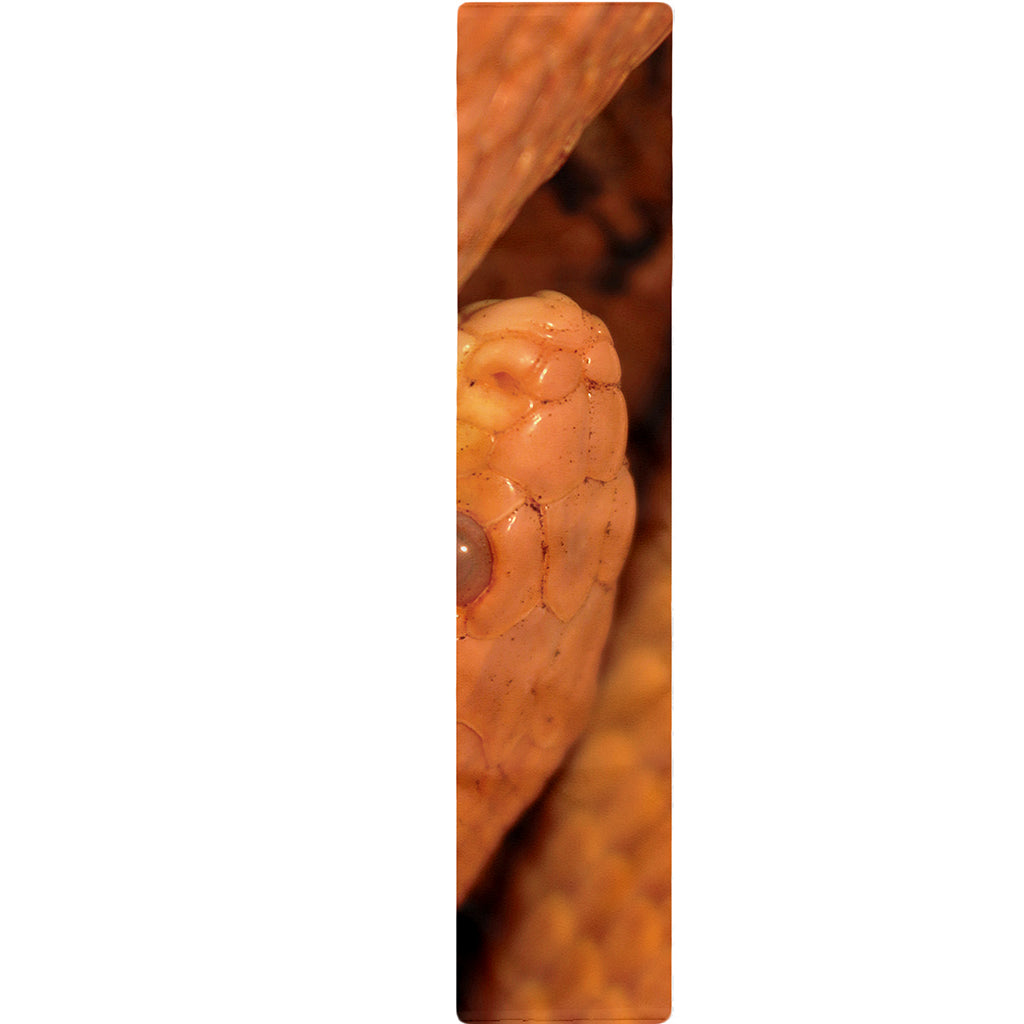 Orange Snake Print Table Runner