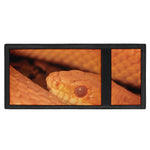 Orange Snake Print Trifold Wallet