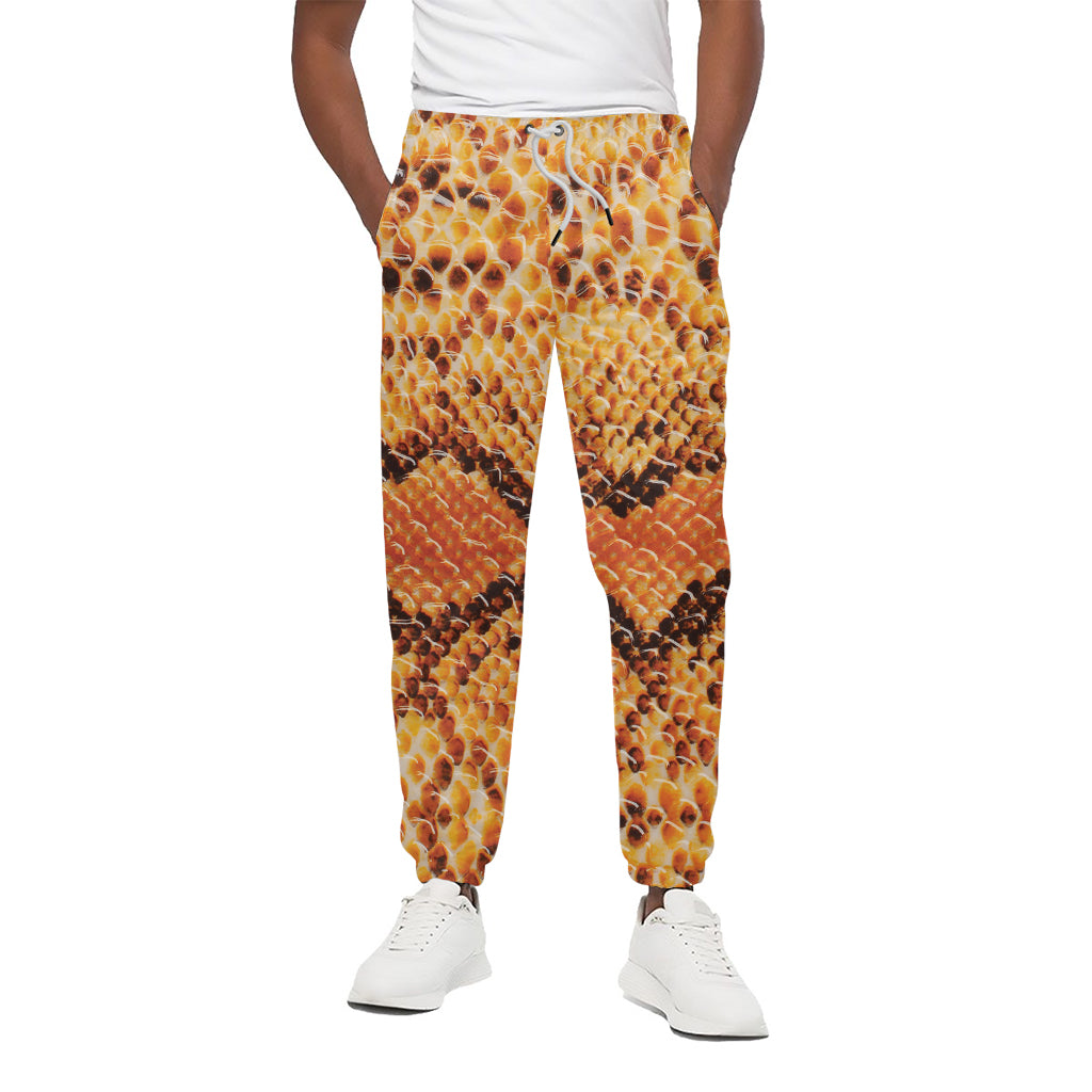 Orange Snakeskin Print Cotton Pants