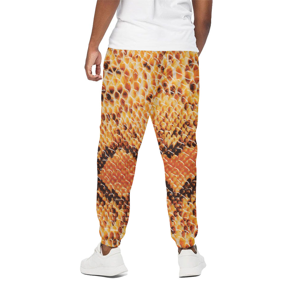 Orange Snakeskin Print Cotton Pants