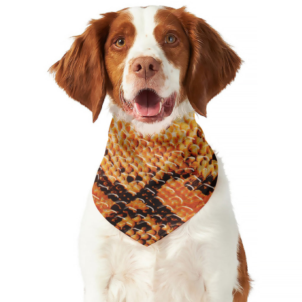 Orange Snakeskin Print Dog Bandana