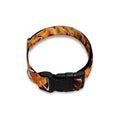 Orange Snakeskin Print Dog Collar