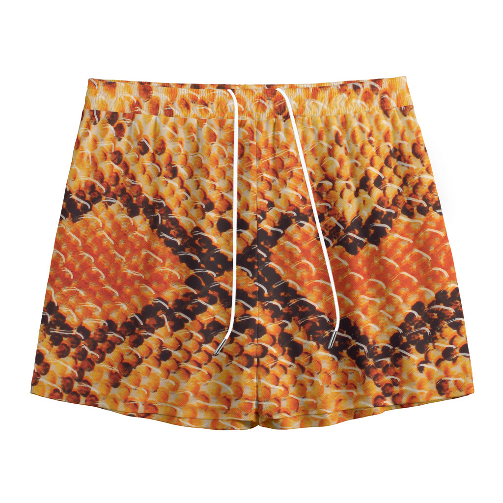 Orange Snakeskin Print Mesh Shorts