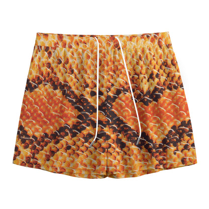 Orange Snakeskin Print Mesh Shorts
