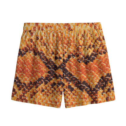 Orange Snakeskin Print Mesh Shorts