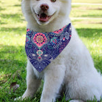 Ornamental Paisley Mandala Print Over The Collar Dog Bandana