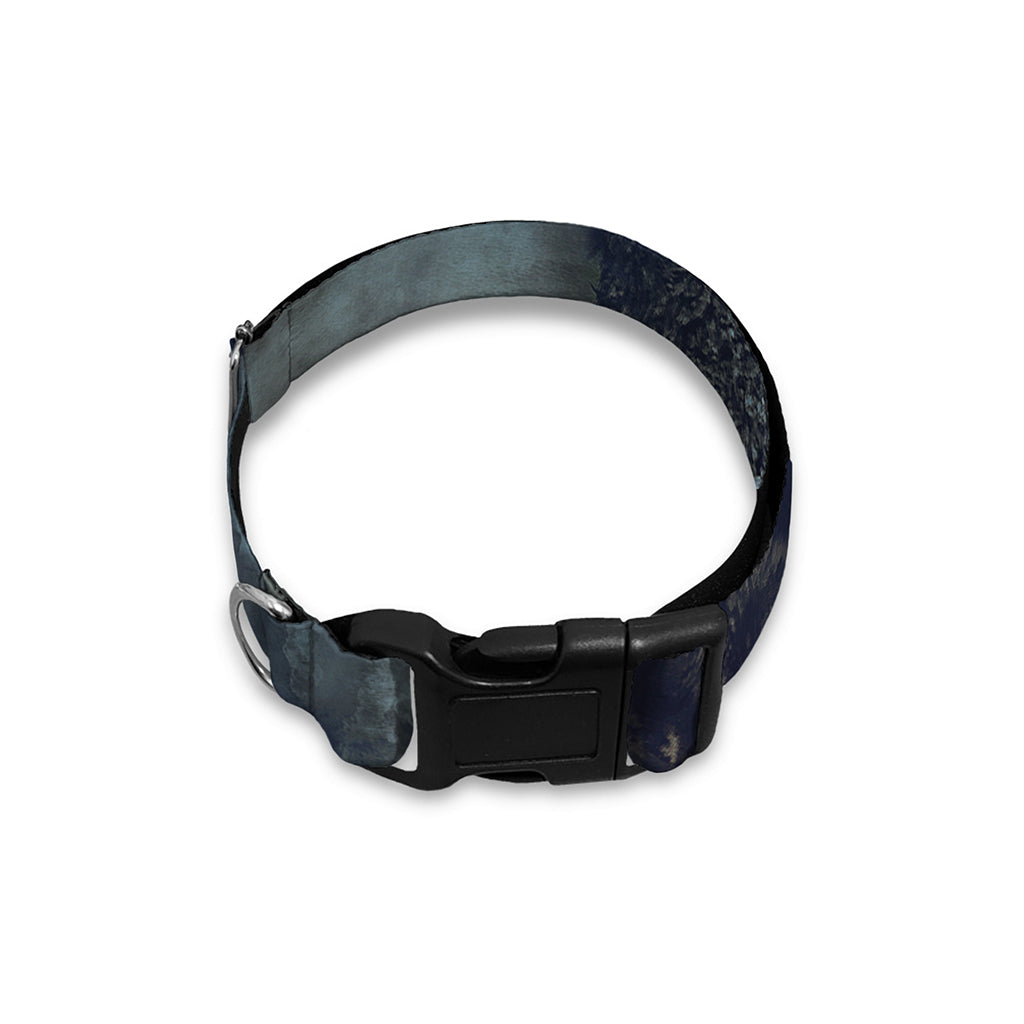 Owl At Night Print Dog Collar