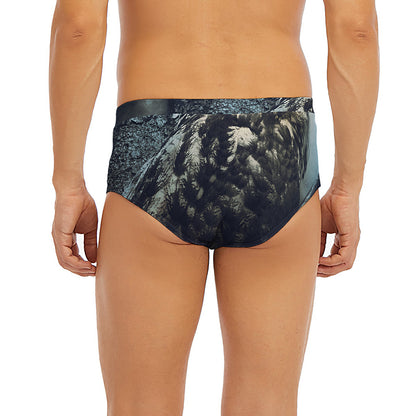 Owl At Night Print Men's Briefs