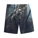 Owl At Night Print Men's Sports Shorts