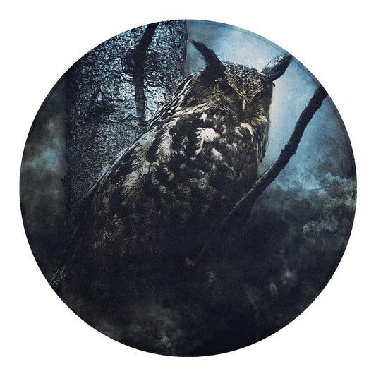 Owl At Night Print Round Blanket