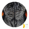 Owl Eyes Print Basketball