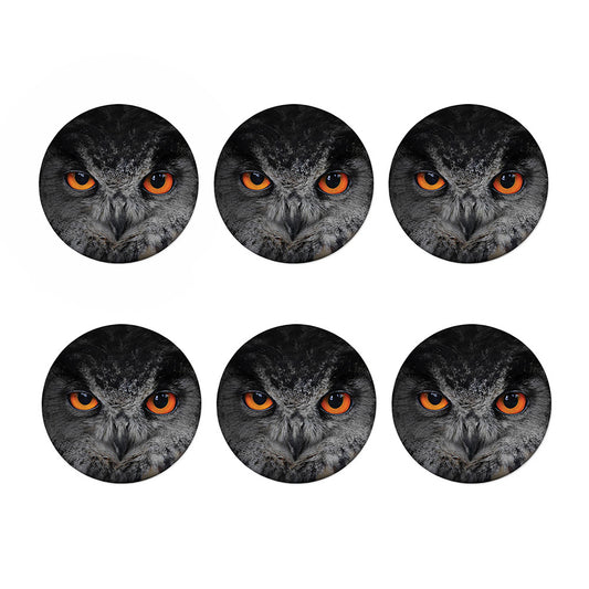 Owl Eyes Print Coaster Set