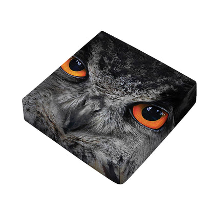 Owl Eyes Print Outdoor Seat Cushion Cover