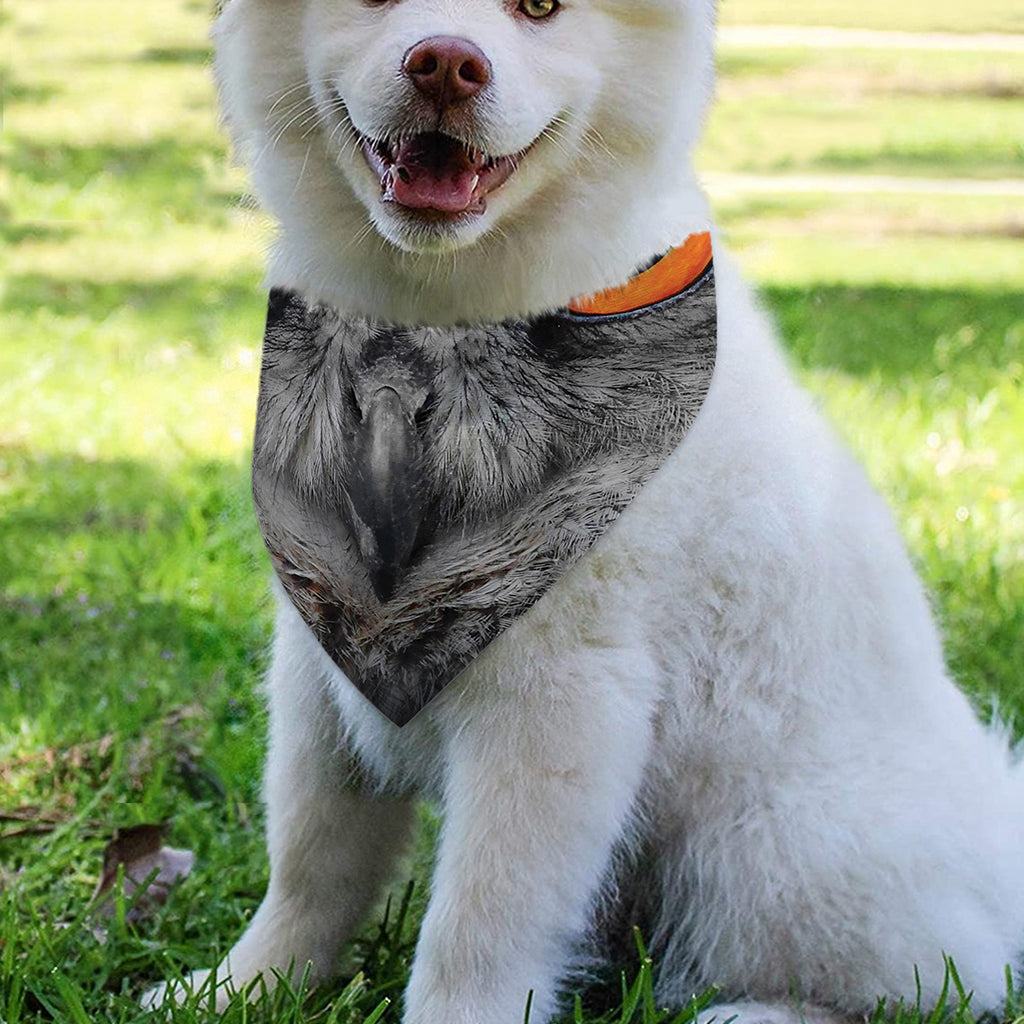Owl Eyes Print Over The Collar Dog Bandana