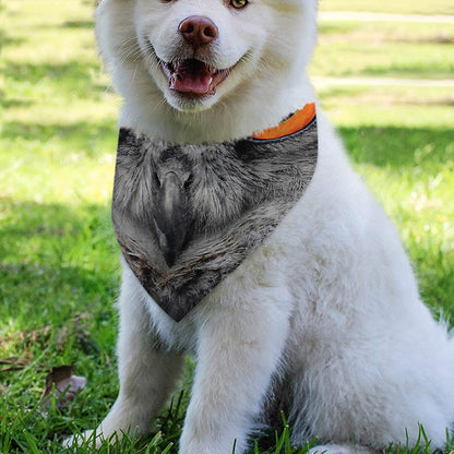 Owl Eyes Print Over The Collar Dog Bandana