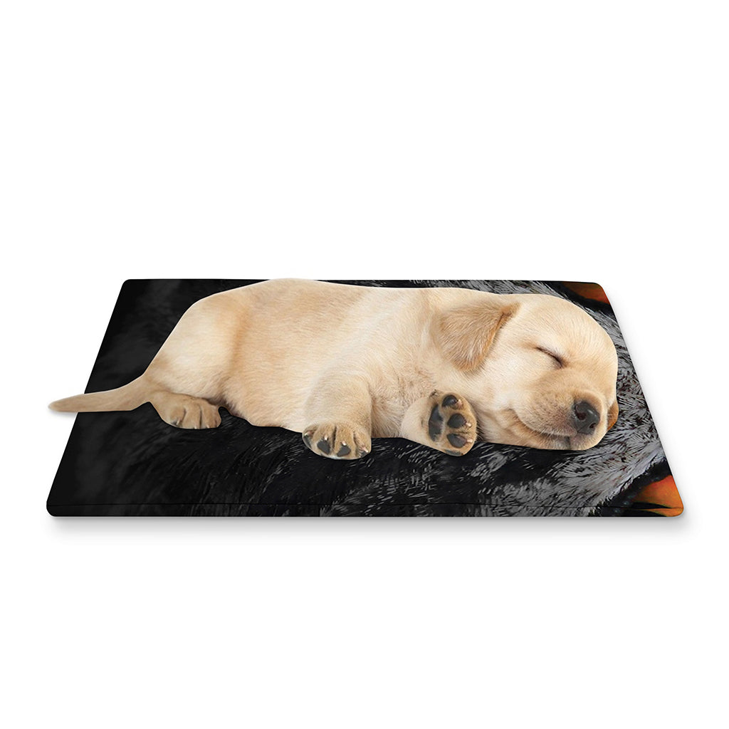 Owl Eyes Print Pet Cooling Mat Cover