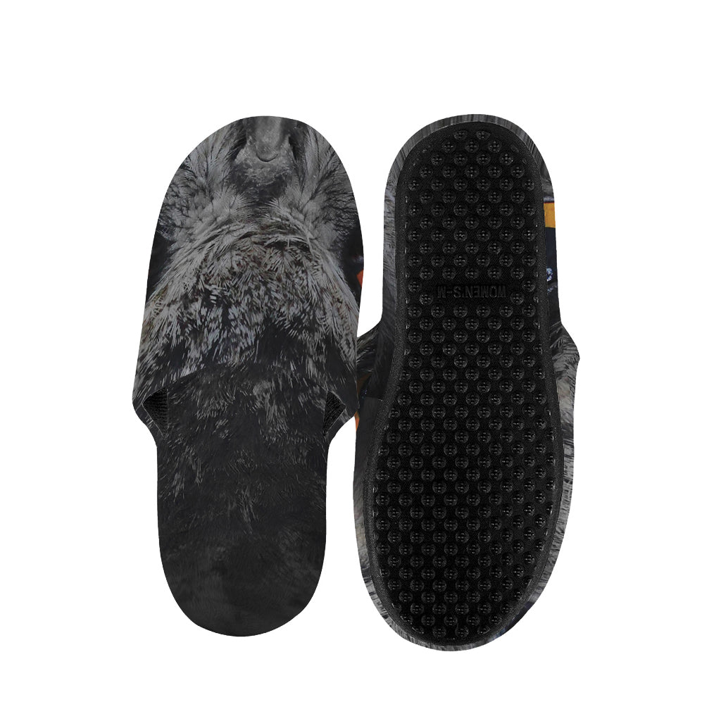 Owl Eyes Print Slippers