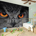 Owl Eyes Print Wall Sticker