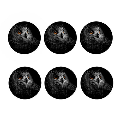 Owl Portrait Print Coaster Set