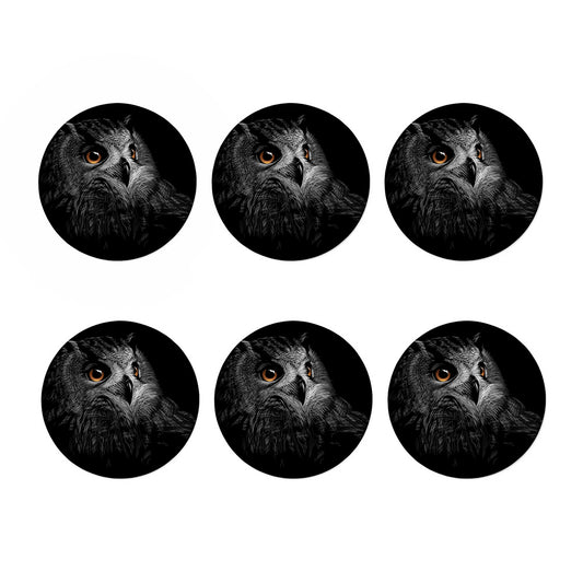 Owl Portrait Print Coaster Set