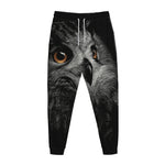 Owl Portrait Print Jogger Pants