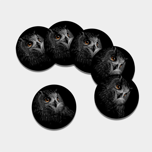 Owl Portrait Print Leather Coaster Set