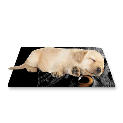 Owl Portrait Print Pet Cooling Mat Cover