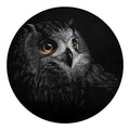 Owl Portrait Print Round Blanket
