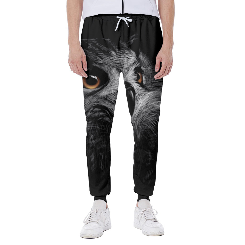 Owl Portrait Print Scuba Joggers