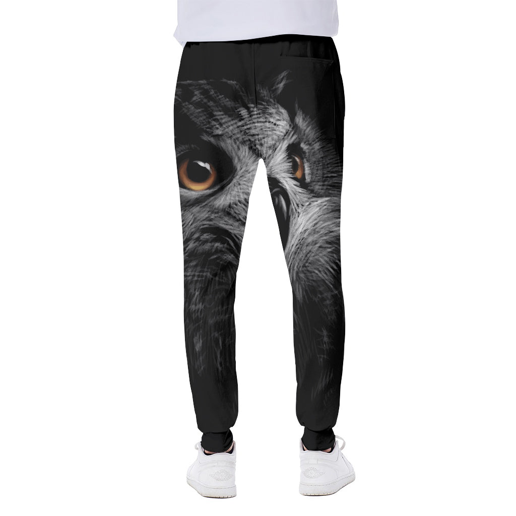 Owl Portrait Print Scuba Joggers