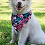 Paisley And Floral Pattern Print Over The Collar Dog Bandana