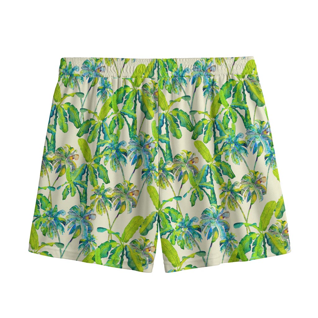 Palm Tree Banana Pattern Print Mesh Shorts