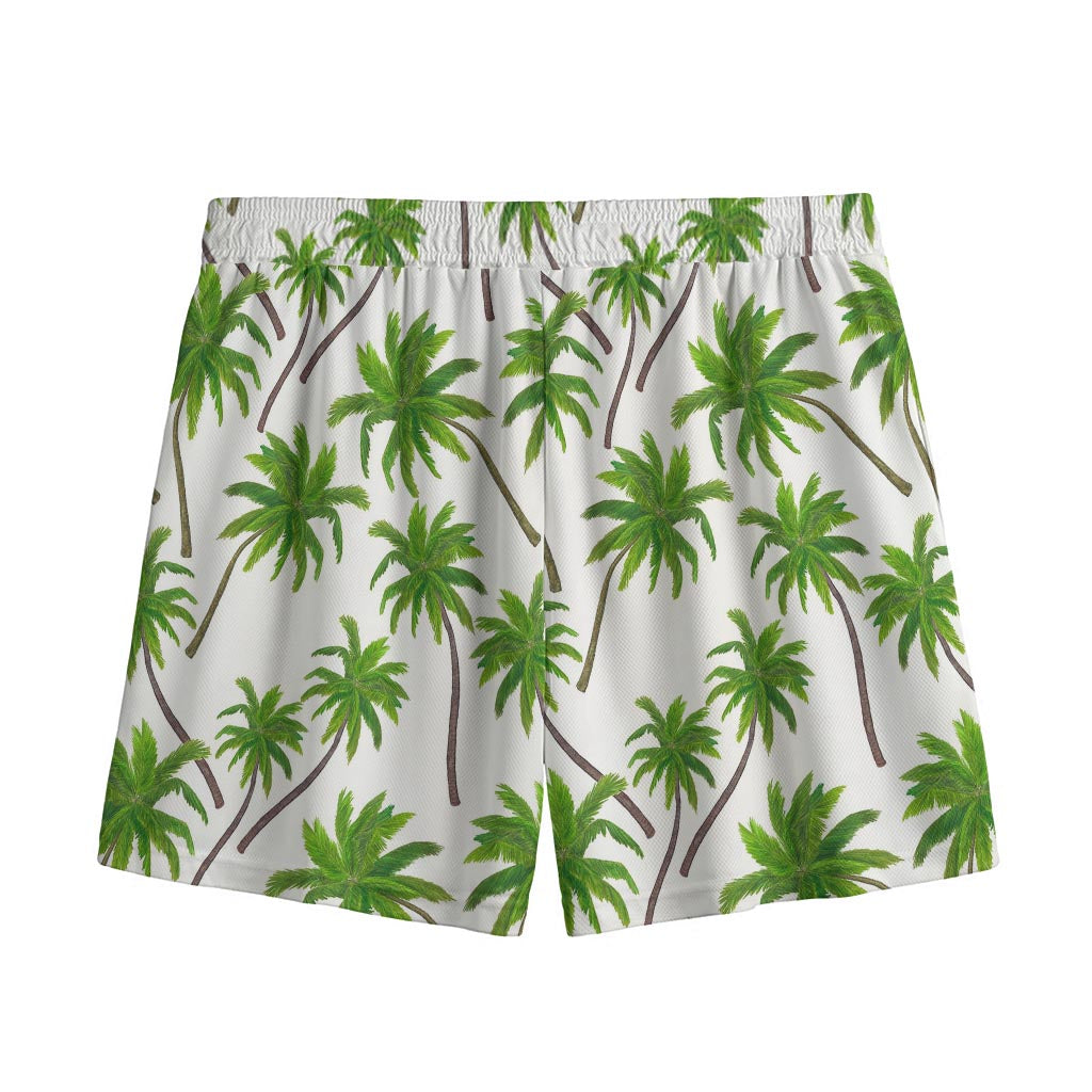 Palm Tree Pattern Print Mesh Shorts