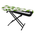 Palm Tree Pattern Print Piano Keyboard Cover