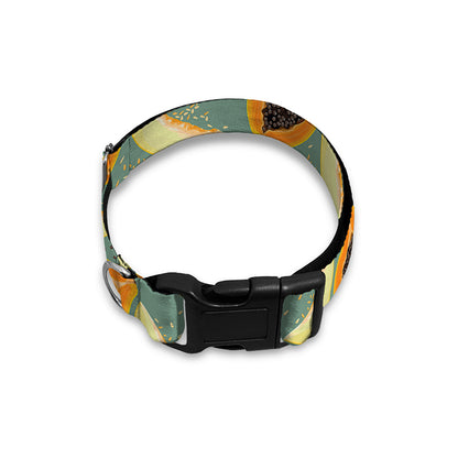 Papaya And Melon Pattern Print Dog Collar