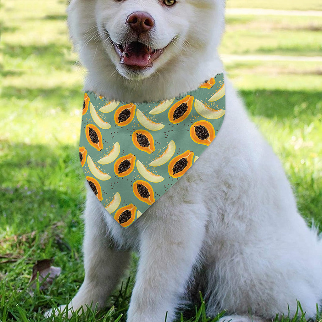 Papaya And Melon Pattern Print Over The Collar Dog Bandana