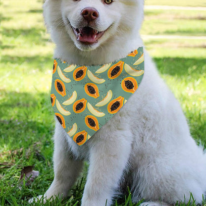 Papaya And Melon Pattern Print Over The Collar Dog Bandana