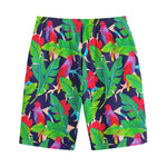 Parrot Banana Leaf Hawaii Pattern Print Cotton Shorts