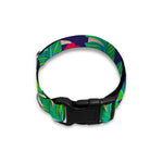 Parrot Banana Leaf Hawaii Pattern Print Dog Collar
