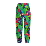 Parrot Banana Leaf Hawaii Pattern Print Fleece Lined Knit Pants