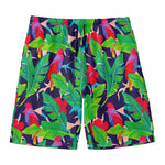Parrot Banana Leaf Hawaii Pattern Print Men's Swim Trunks