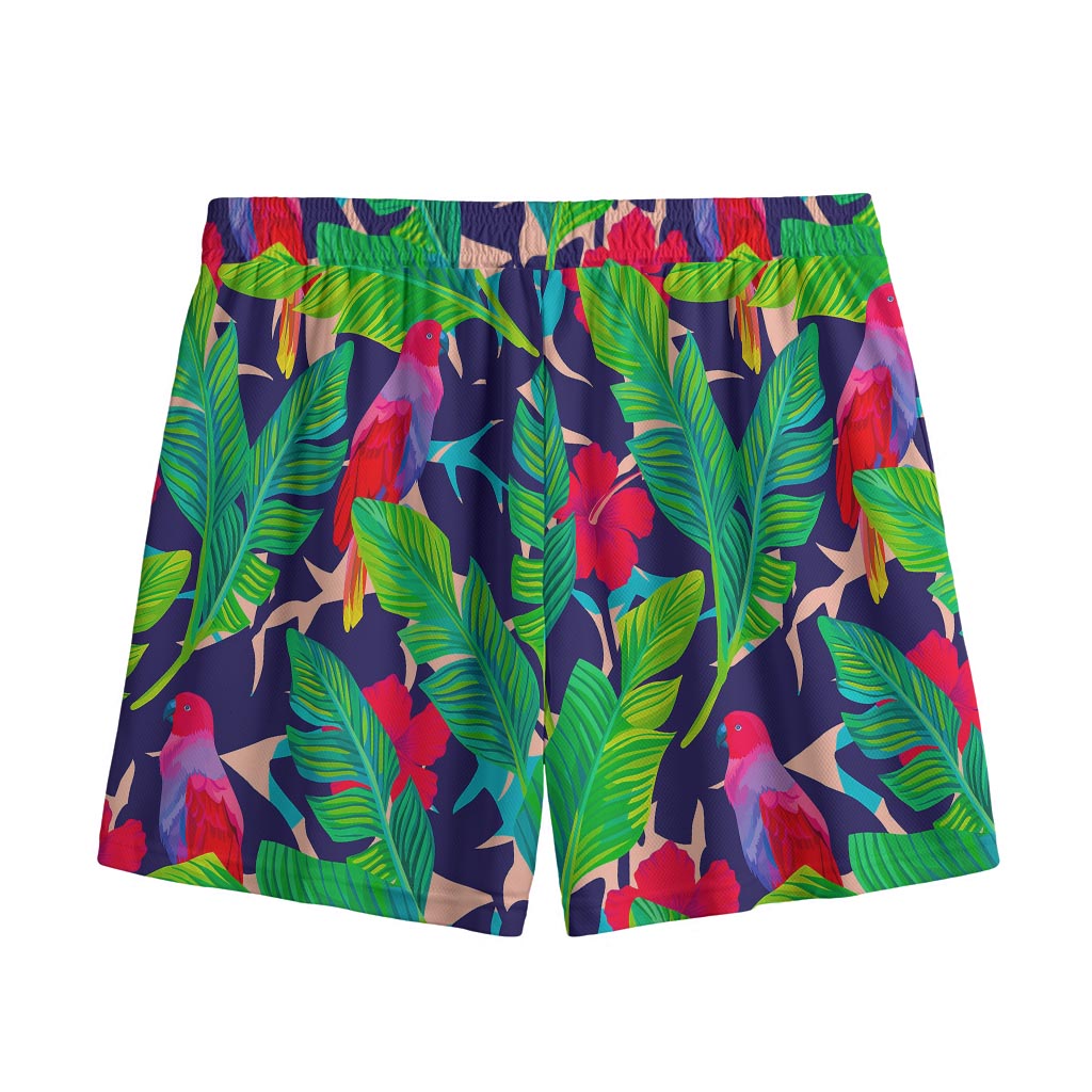Parrot Banana Leaf Hawaii Pattern Print Mesh Shorts