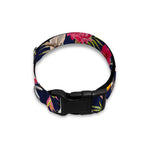 Parrot Toucan Tropical Pattern Print Dog Collar