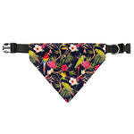Parrot Toucan Tropical Pattern Print Over The Collar Dog Bandana
