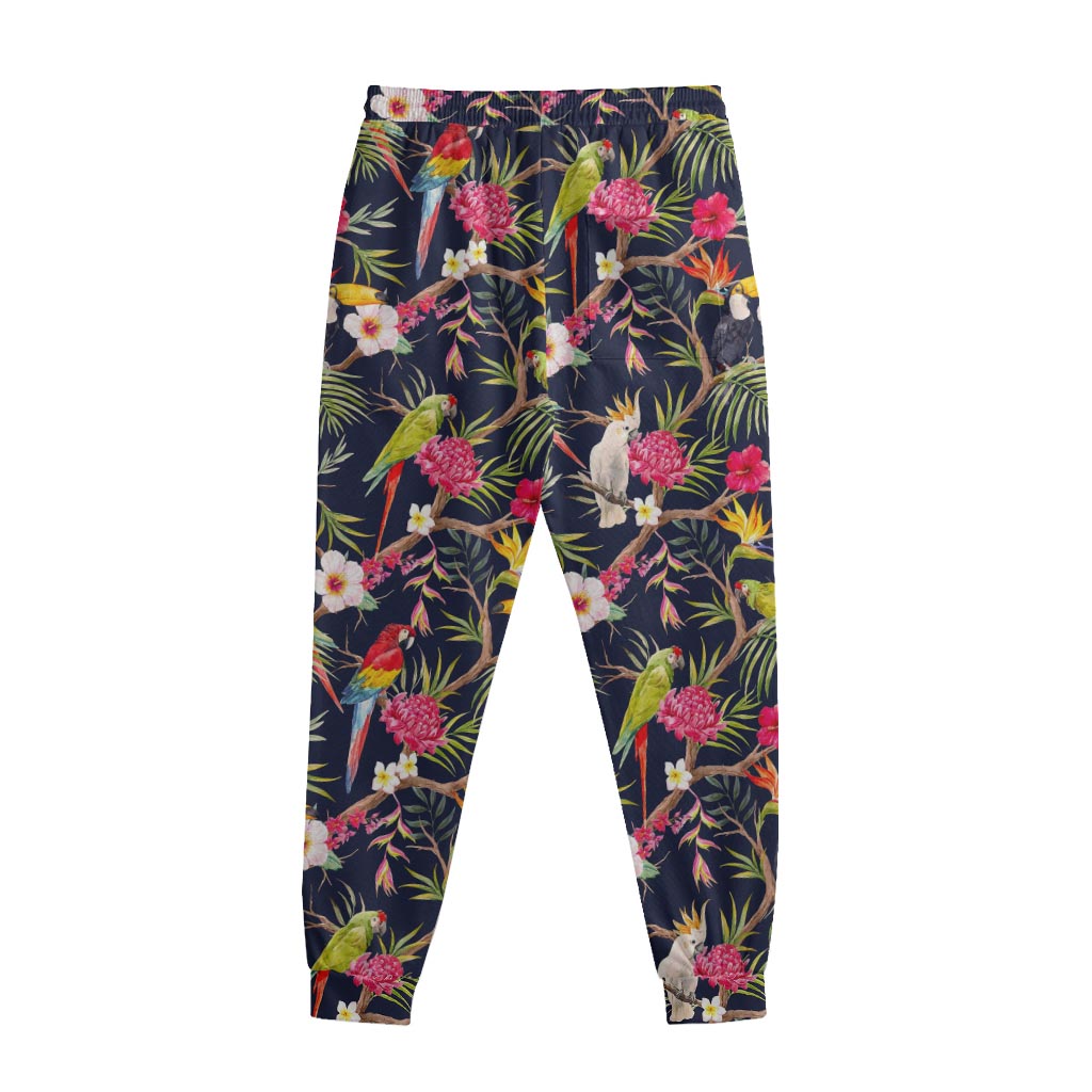 Parrot Toucan Tropical Pattern Print Sweatpants